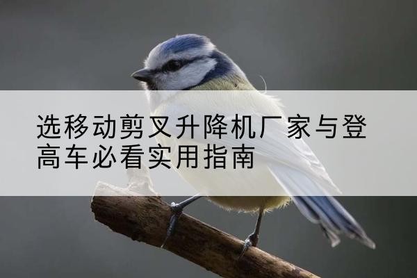 阳春电动升降机厂家-选移动剪叉升降机厂家与登高车必看实用指南
