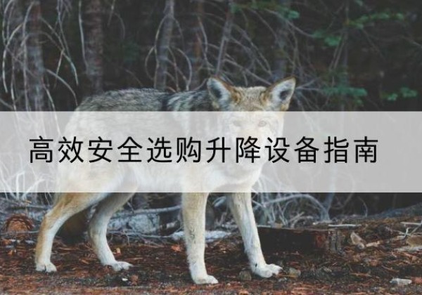 阳春升降货梯厂家推荐-*安全选购升降设备指南