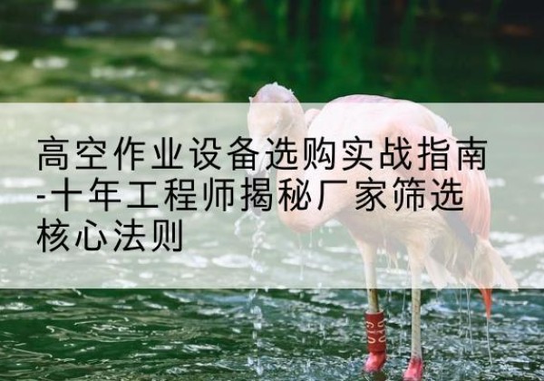 阳春剪叉式升降机厂家-高空作业设备选购实战指南-十年工程师揭秘厂家筛选核心法则