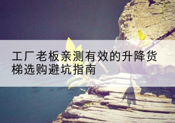 阳春升降货梯怎么选-工厂老板亲测有效的升降货梯选购避坑指南